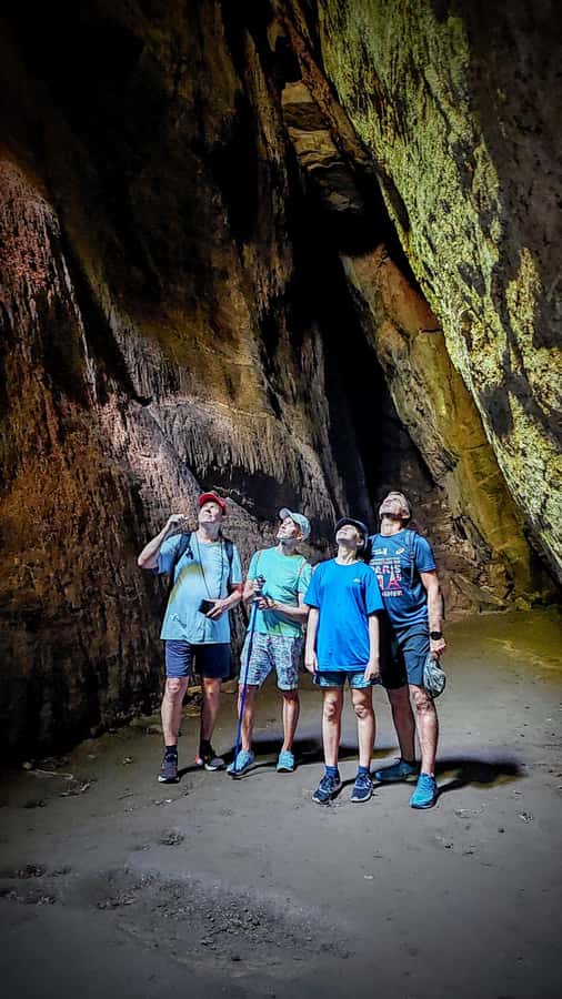 Rio de Janeiro: Tijuca Forest Challenge Hike Full-Day Trip - Why Tijuca Forest feels like another world from Rio