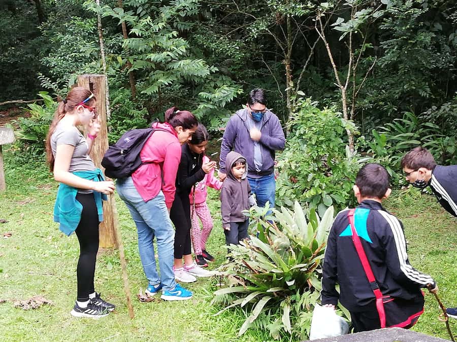 Rio de Janeiro: Tijuca Forest Waterfall of Souls Hike - Key points I’d bet you’ll care about