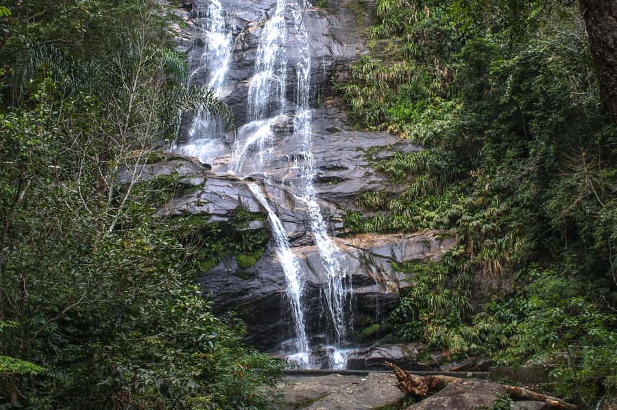 Rio de Janeiro: Tijuca Forest Waterfall of Souls Hike - Why the Cascata Taunay viewpoint matters (even if you’re after the falls)
