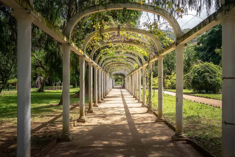 Rio de Janeiro: Tijuca National Park & Botanic Garden Tour - Getting your bearings at Vista Chinesa viewpoints