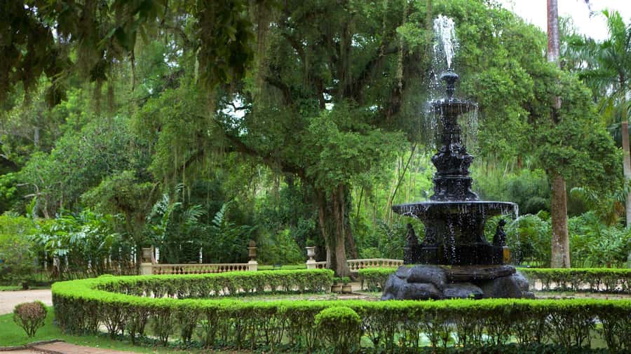 Rio de Janeiro: Tijuca National Park & Botanic Garden Tour - Botanical Gardens: where plant love turns practical