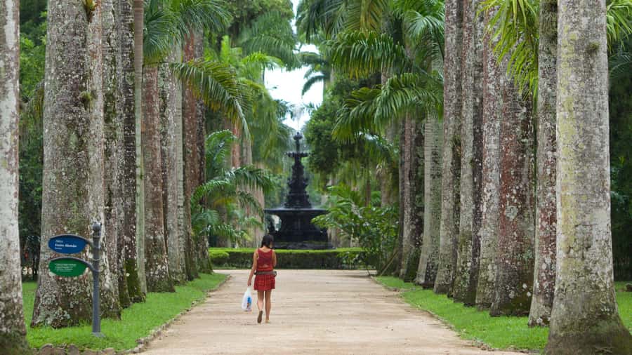 Rio de Janeiro: Tijuca National Park & Botanic Garden Tour - What you’re really paying for: value of the $65 price