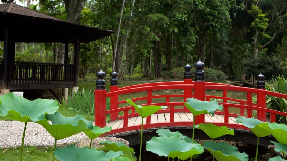 Rio de Janeiro: Tijuca National Park & Botanic Garden Tour - Who this tour fits best in Rio