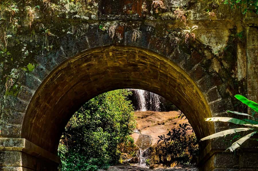 Rio de Janeiro: Tijuca National Park & Botanic Garden Tour - Practical tips to make the rainforest portion more comfortable