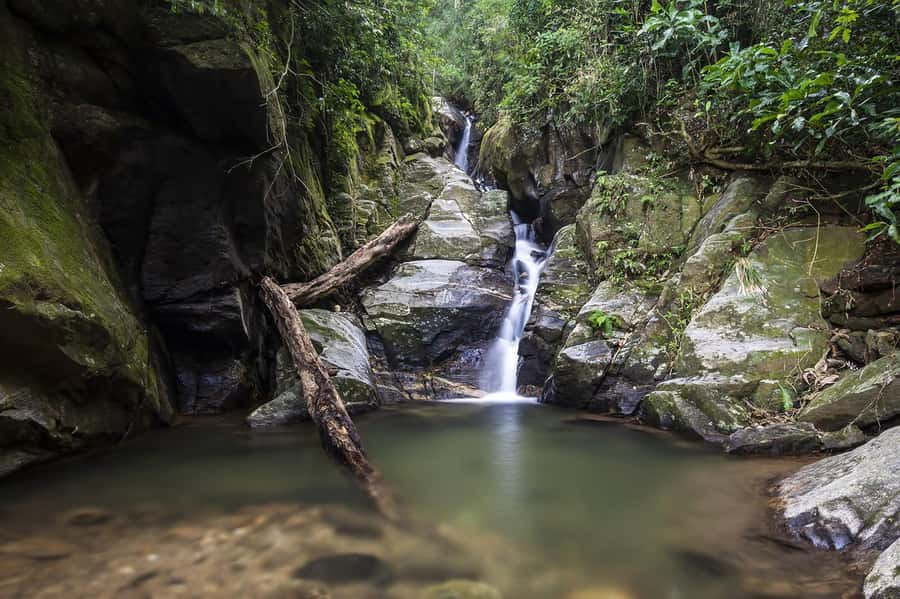 Rio de Janeiro: Tijuca National Park & Botanic Garden Tour - Hotel pickup and the reality of a 4-hour day in Rio
