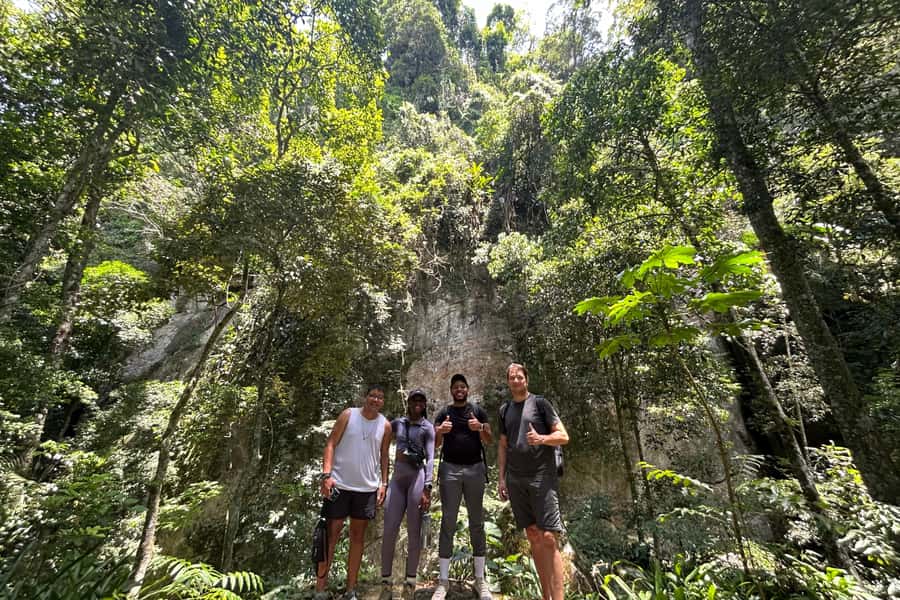 Rio de Janeiro: Tijuca National Park Tour - Center of Visitors: where the guide turns paths into a story