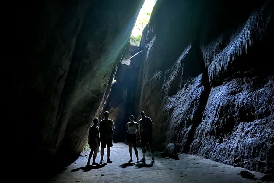 Rio de Janeiro: Tijuca National Park Tour - Wildlife spotting: what to expect, and how to increase your odds