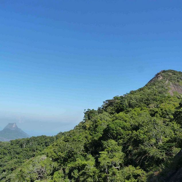 Rio de Janeiro: Tijuca Peak Guided Hike - Cachoeira das Almas: the waterfall payoff after the climb