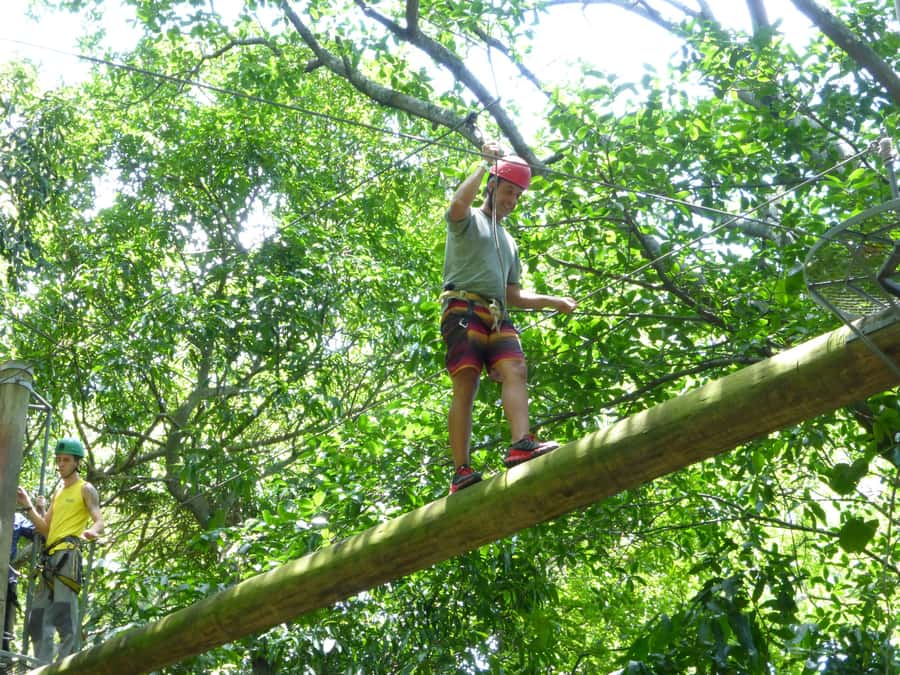 Rio de Janeiro: Zip Lining and Canopy Tree Tour - Quick Take: What You’ll Love Most
