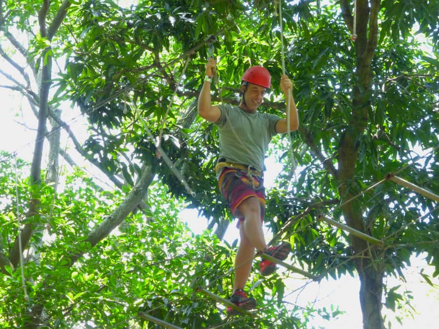 Rio de Janeiro: Zip Lining and Canopy Tree Tour - Stop 1: Parque Natural Municipal da Catacumba Hiking (About 1 Hour)