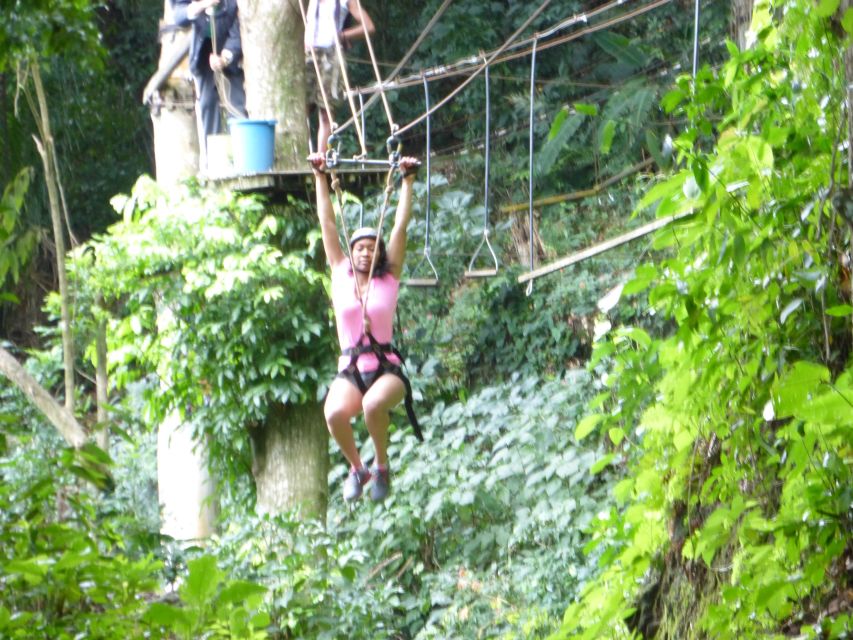 Rio de Janeiro: Zip Lining and Canopy Tree Tour - Stop 2: Canopy Tree Time Starts (After the Hike)