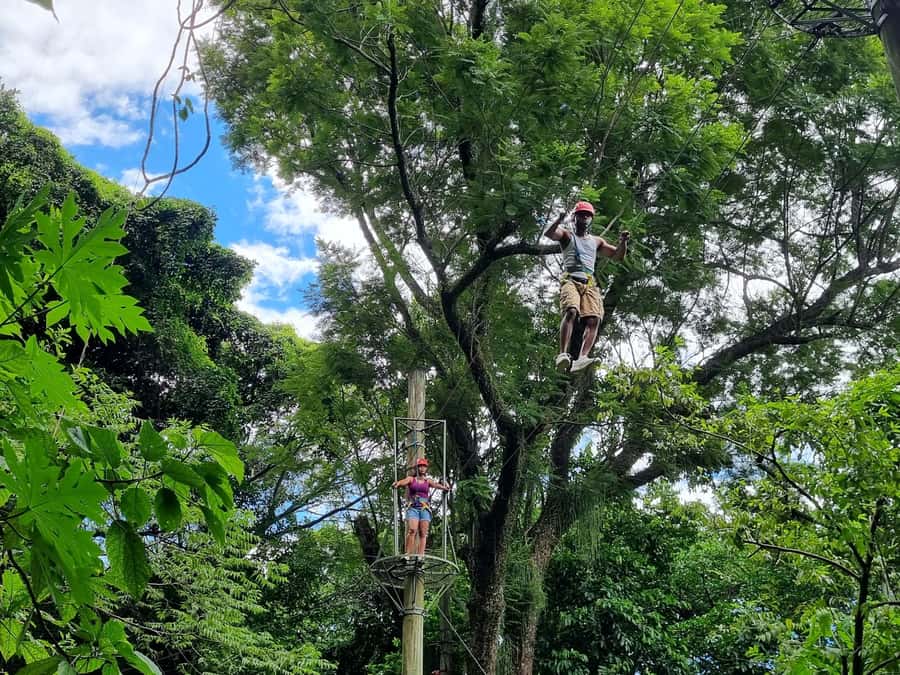 Rio de Janeiro: Zip Lining and Canopy Tree Tour - The Pickup System: Easy Start, Limited Search Time