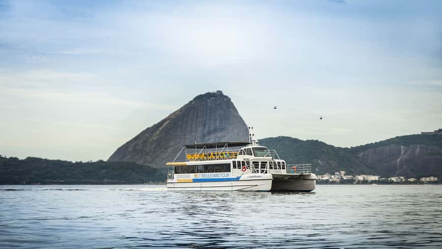 Rio: Guanabara Bay Boat Tour - The Niterói Passage: Bridge Views and the Acoustic Shell Moment