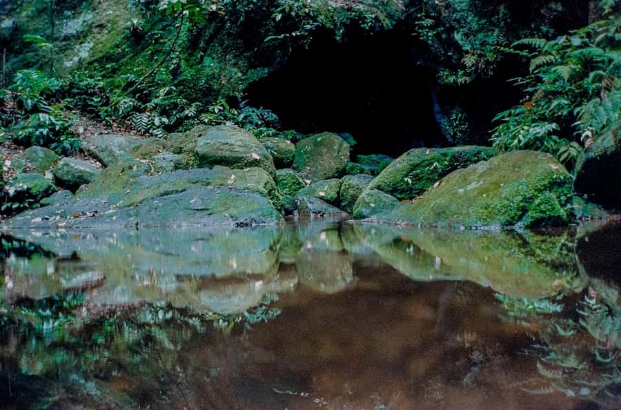 Rio: Half-Day Jeep Tour at Floresta da Tijuca - Key points to know before you go