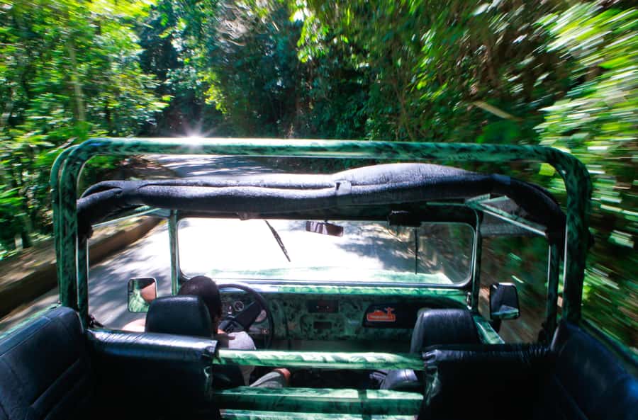 Rio: Half-Day Jeep Tour at Floresta da Tijuca - What to bring (and how to dress) for Tijuca weather