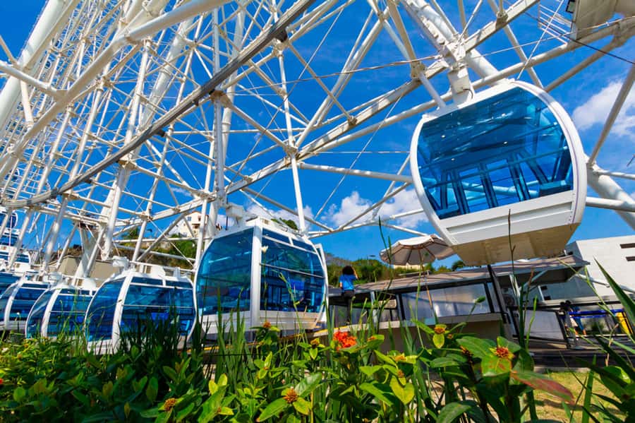 Rio: Museum of Tomorrow, Yup Star & Olympic Boulevard - Key Points That Make This Tour Worth Your Time