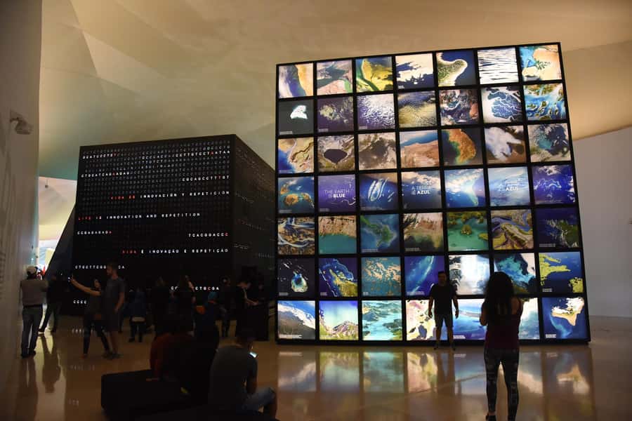 Rio: Olympic Boulevard, AquaRio and Museum of Tomorrow Tour - AquaRio option: more than 5,000 animals across 28 saltwater tanks