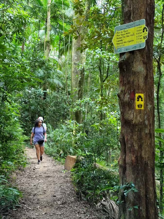 Rio: Private Tour 5 Hours Customized Tour With a Local Guide - What to pack for a 5-hour Rio day with walking and possible hikes