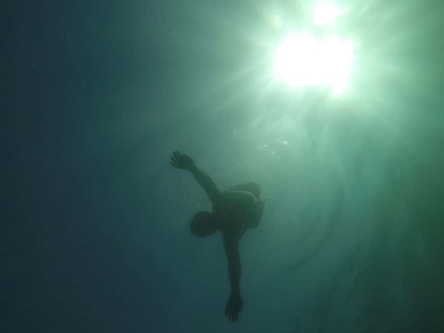 Rio: Snorkel & Swim with Turtles Tour at Tijuca Islands - Who this tour fits best (and who should skip it)