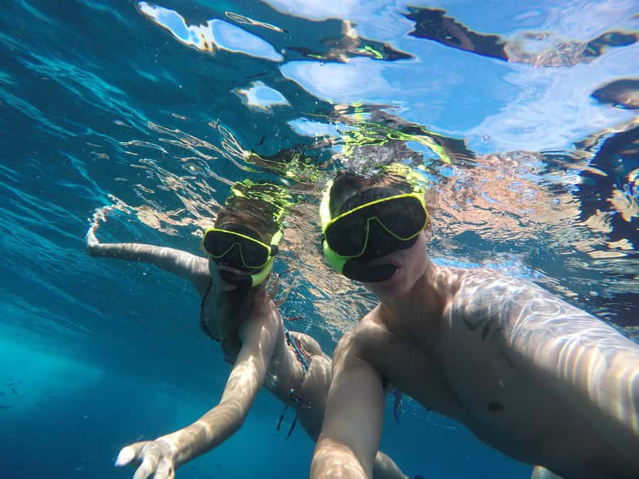 Rio: Snorkel & Swim with Turtles Tour at Tijuca Islands - Wildlife expectations: when birds and turtles show up