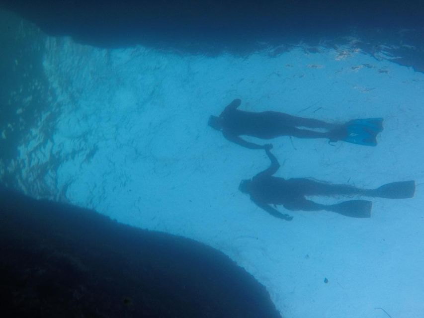 Rio: Snorkel & Swim with Turtles Tour at Tijuca Islands - What to bring (and what to plan) for Rio sun and wind