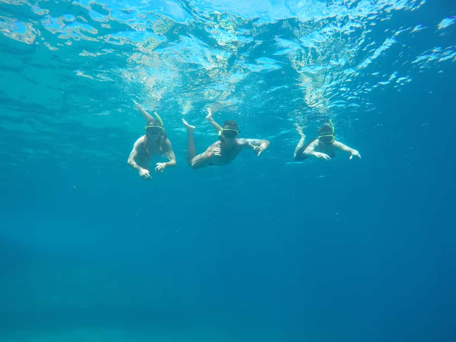 Rio: Snorkel & Swim with Turtles Tour at Tijuca Islands - Speedboat to Tijuca Islands: the 20 minutes that set the tone