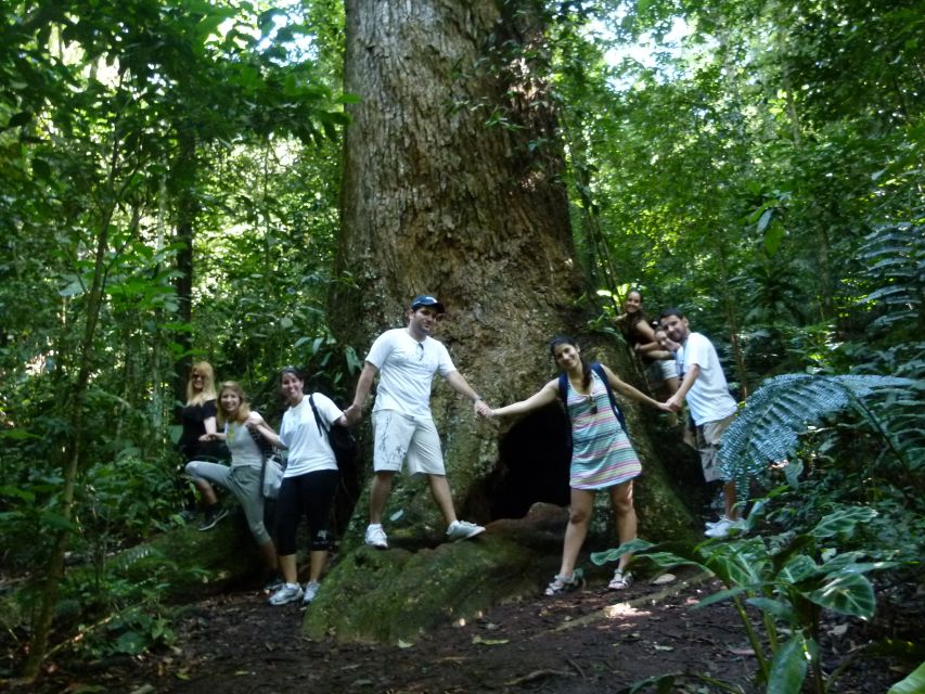 Rio: Tijuca Forest & Horto Waterfalls Circuit Tour - Who Should Book This (and Who Should Skip It)
