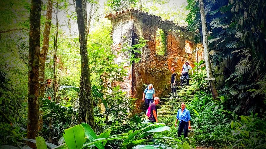 Rio: Tijuca Forest Small Group Hike to Caves and Waterfalls - Key reasons this Tijuca hike gets such high marks