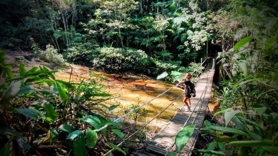 Rio: Tijuca Forest Small Group Hike to Caves and Waterfalls - Cascatinha Taunay: the first big taste of Tijuca’s water