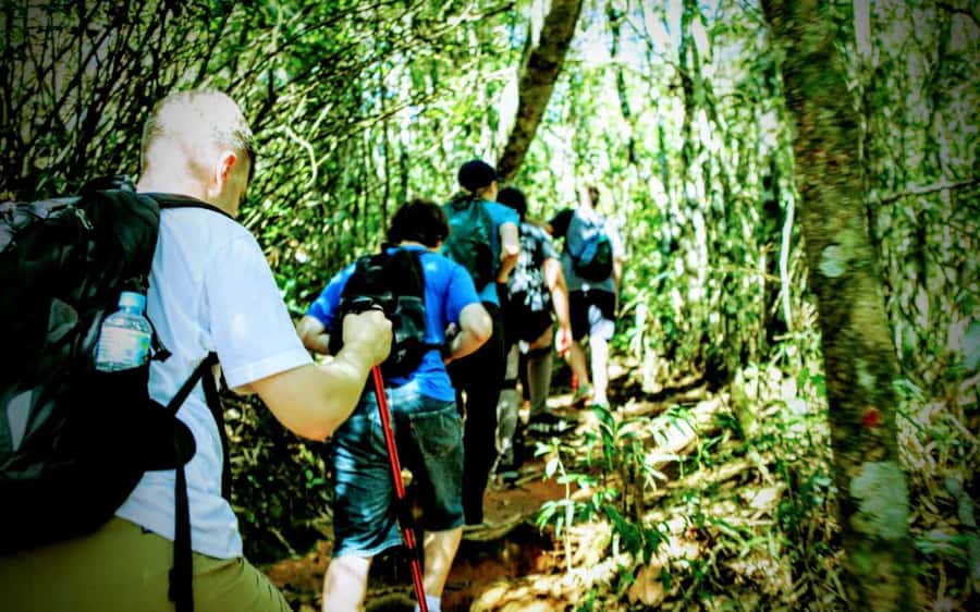 Rio: Tijuca National Park Small-Group Hike to Pedra Bonita - Who this tour suits best (and who should skip it)
