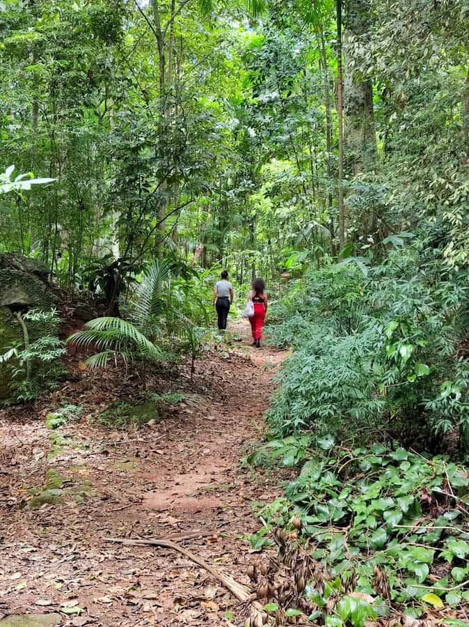 Tijuca Forest´s hike: caves, waterfalls and great views - The vibe: calm breaks, real adventure, and smart prep