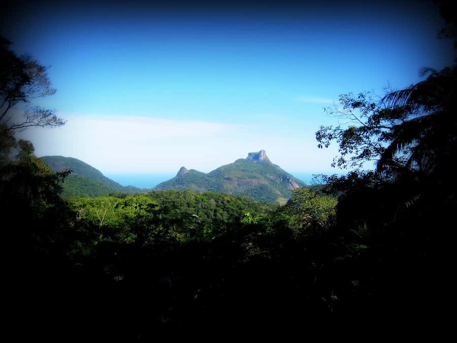 Tijuca Forest´s hike: caves, waterfalls and great views - Cascatinha Taunay: a 35-meter waterfall to set the pace