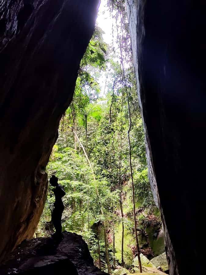 Tijuca Forest´s hike: caves, waterfalls and great views - The rainforest hike uphill: trails that are easy, but not flat