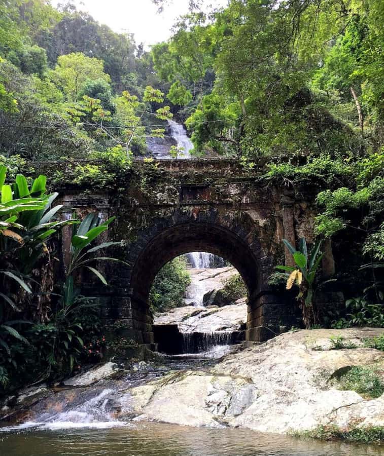 Tijuca Forest´s hike: caves, waterfalls and great views - Waterfall stops: clean water, snacks, and time to cool off
