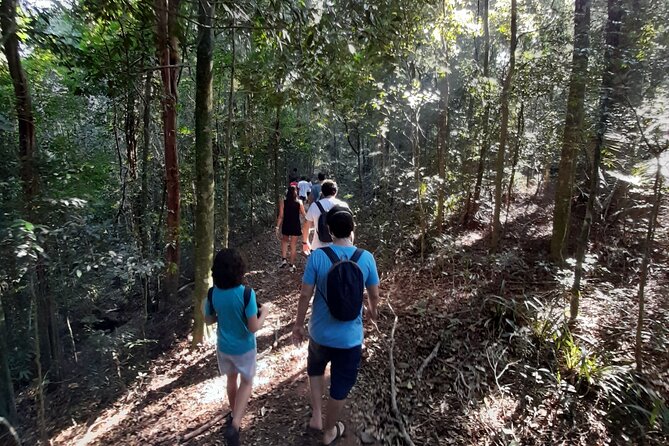 Tijuca National Park and all its wonders - Tijuca National Park: Rio’s Forest Escape