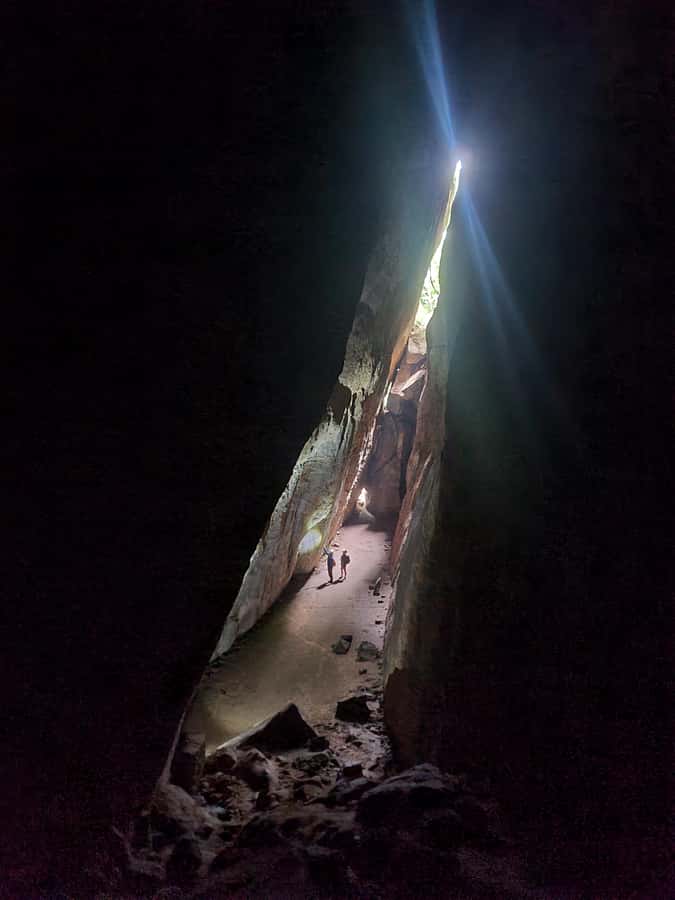 Tijuca Rain Forest - Adventure through Waterfalls & Caves - The 5-hour rhythm: pickup, park time, and how the day flows